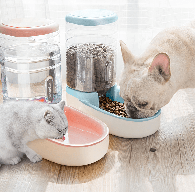Comedero y Bebedero Automático para Perros con Micrófono