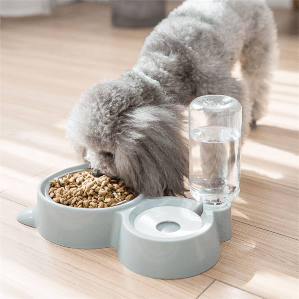 Comedero para perros