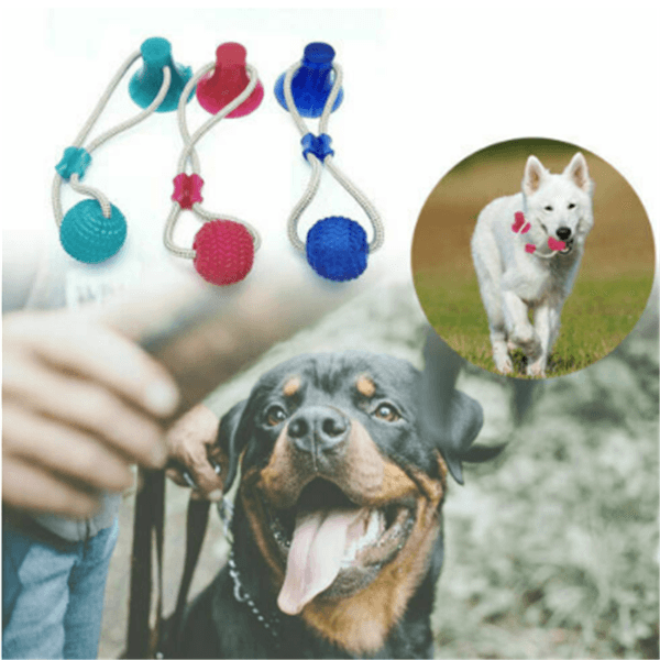 Juguete Mordedor Multiusos para Perros con Ventosa