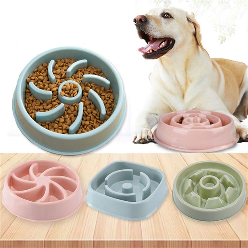 Comedero Antiasfixia para Perros y Gatos