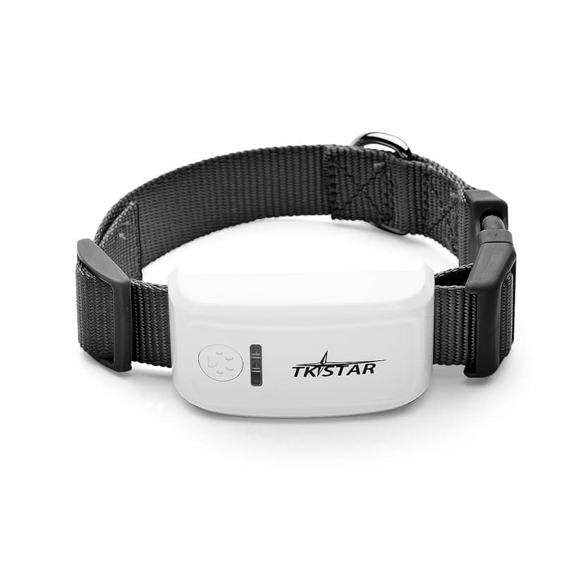 Localizador GPS para Gatos