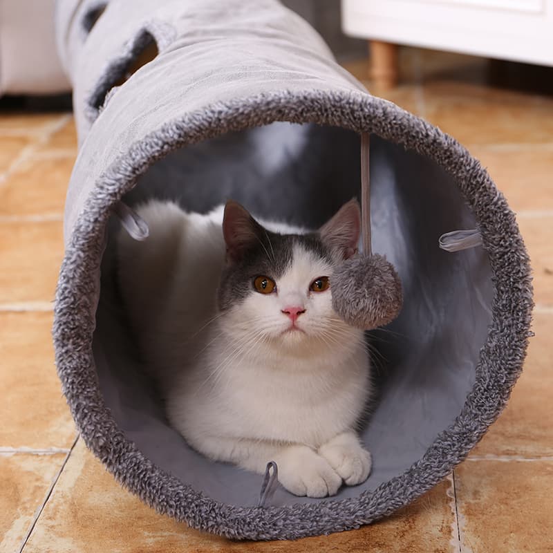 Túnel de Juego para Gatos