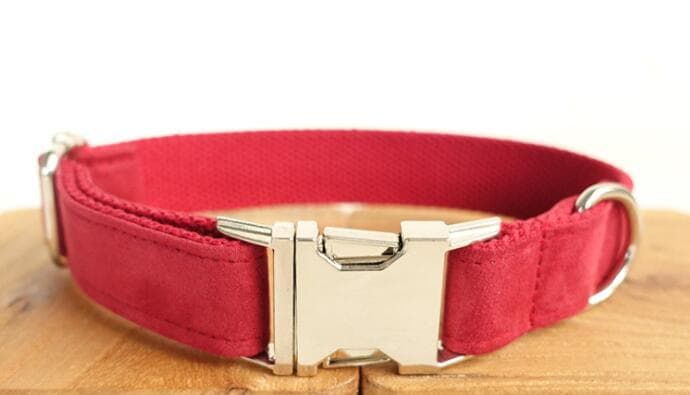 Collar de Tracción para Perros