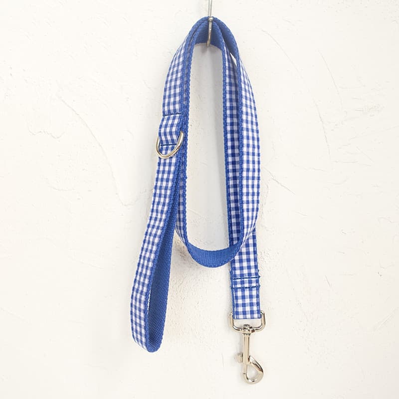 Correa para Perros Azul