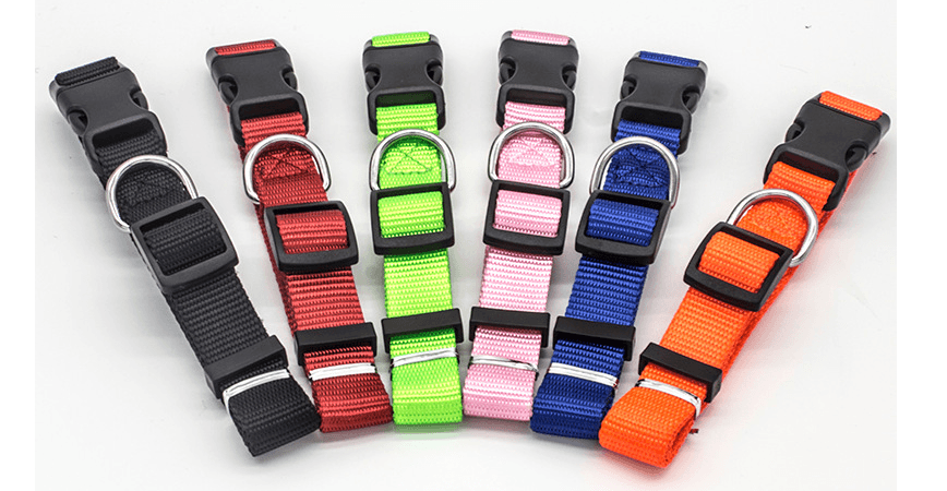 Collar para Mascotas