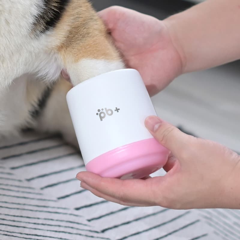 Bañera de patas para mascotas
