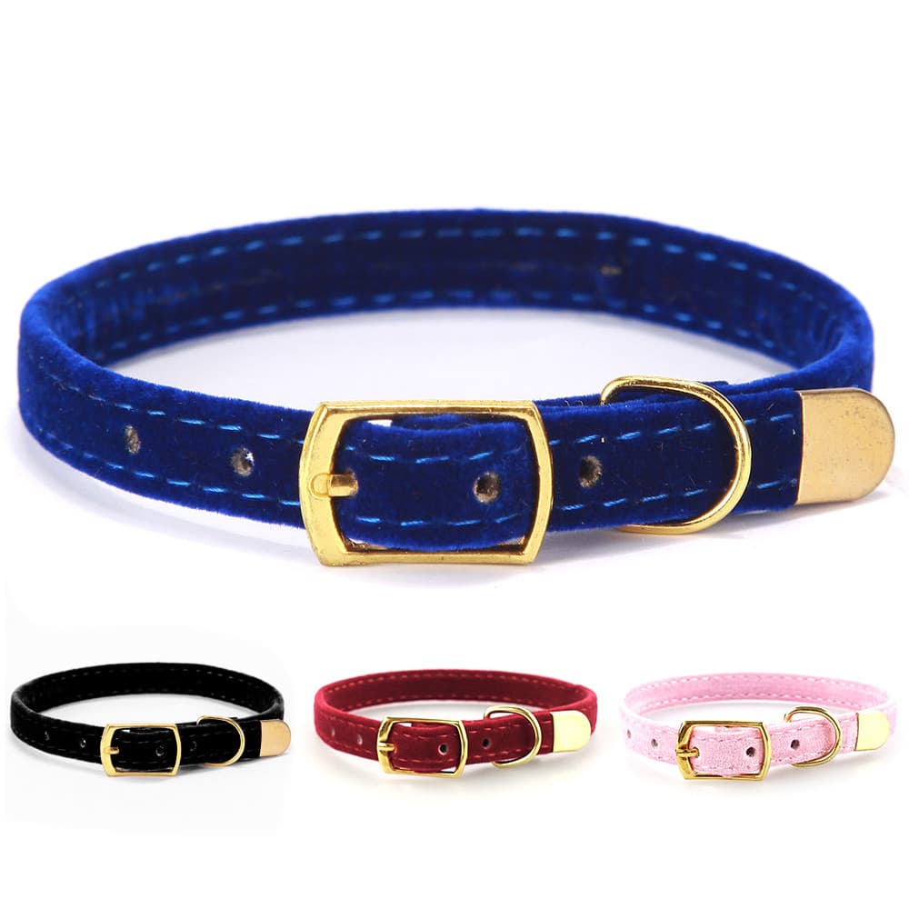Collar para Gatos