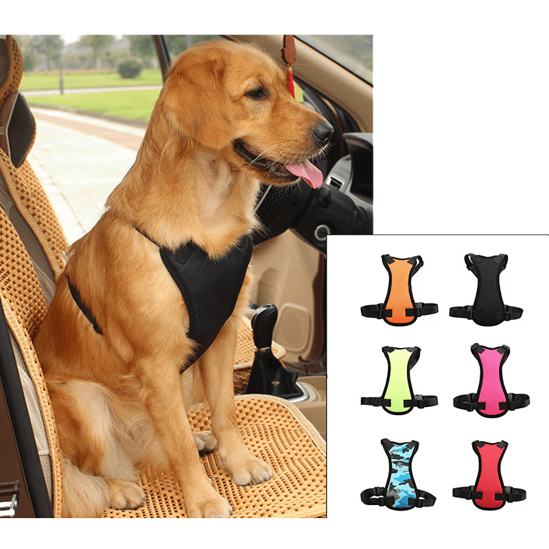 Cinturón de seguridad para mascotas