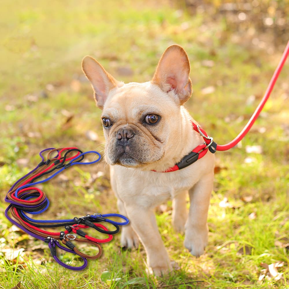 Correa para perro resistente