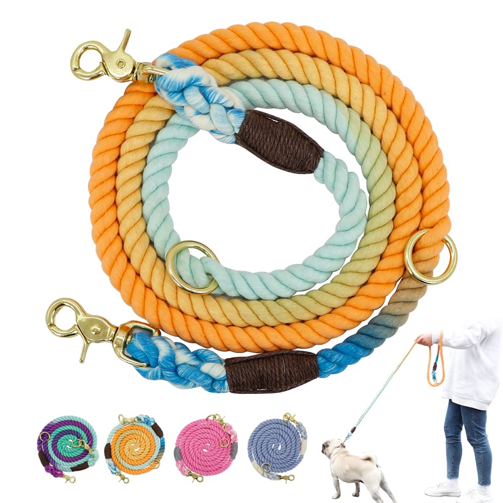Correa para Perro con Gradiente de Color y Cadena Metálica