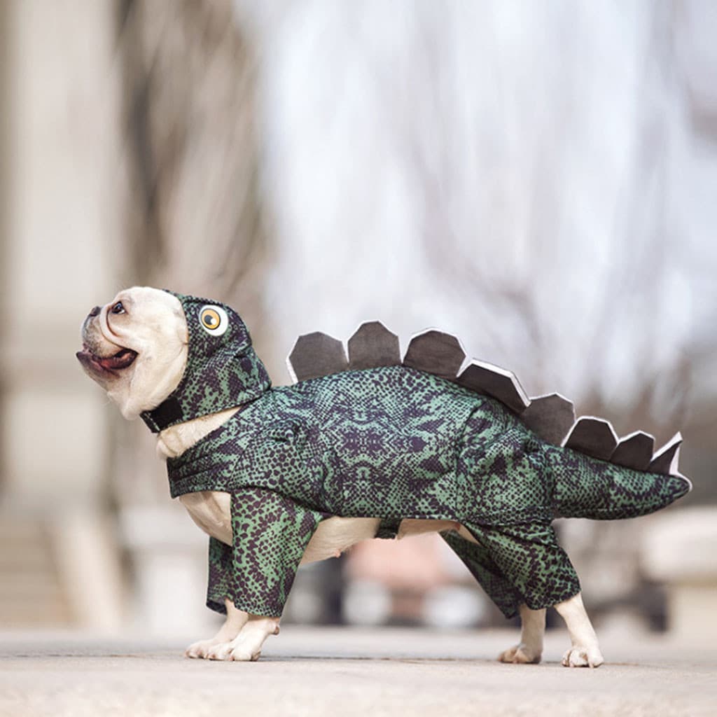 Ropa de Dinosaurio para Mascotas