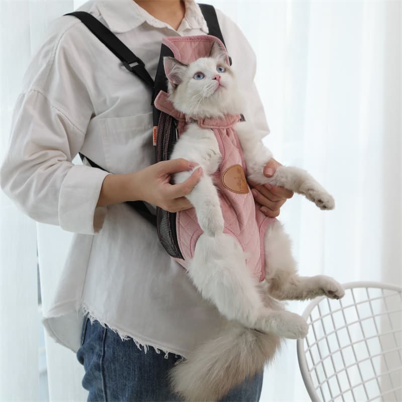 Mochila transportadora portátil para gatos