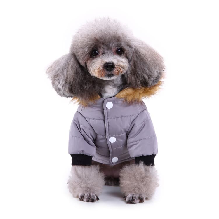 Ropa de invierno para mascotas