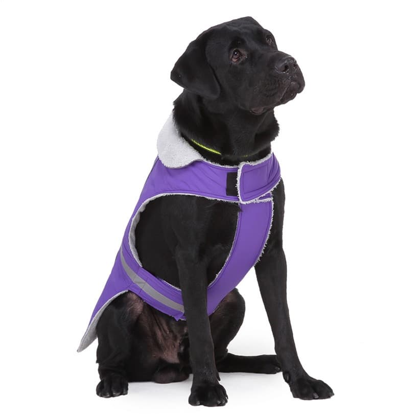 Ropa de invierno reflectante para mascotas