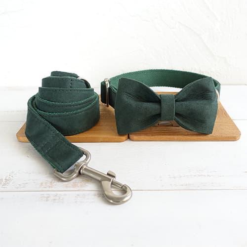 Set de Collar y Arnés para Mascotas MUTTCO