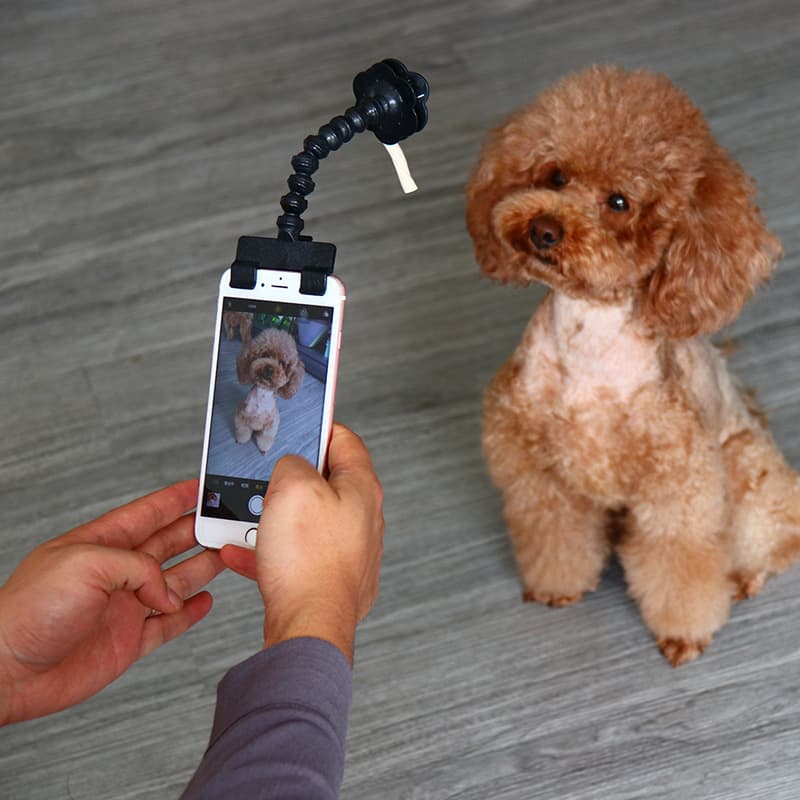 Palo Selfie para Mascotas