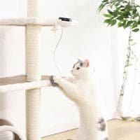 Juguete Interactivo Electrónico para Gatos
