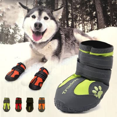 Zapatos antideslizantes para perros grandes