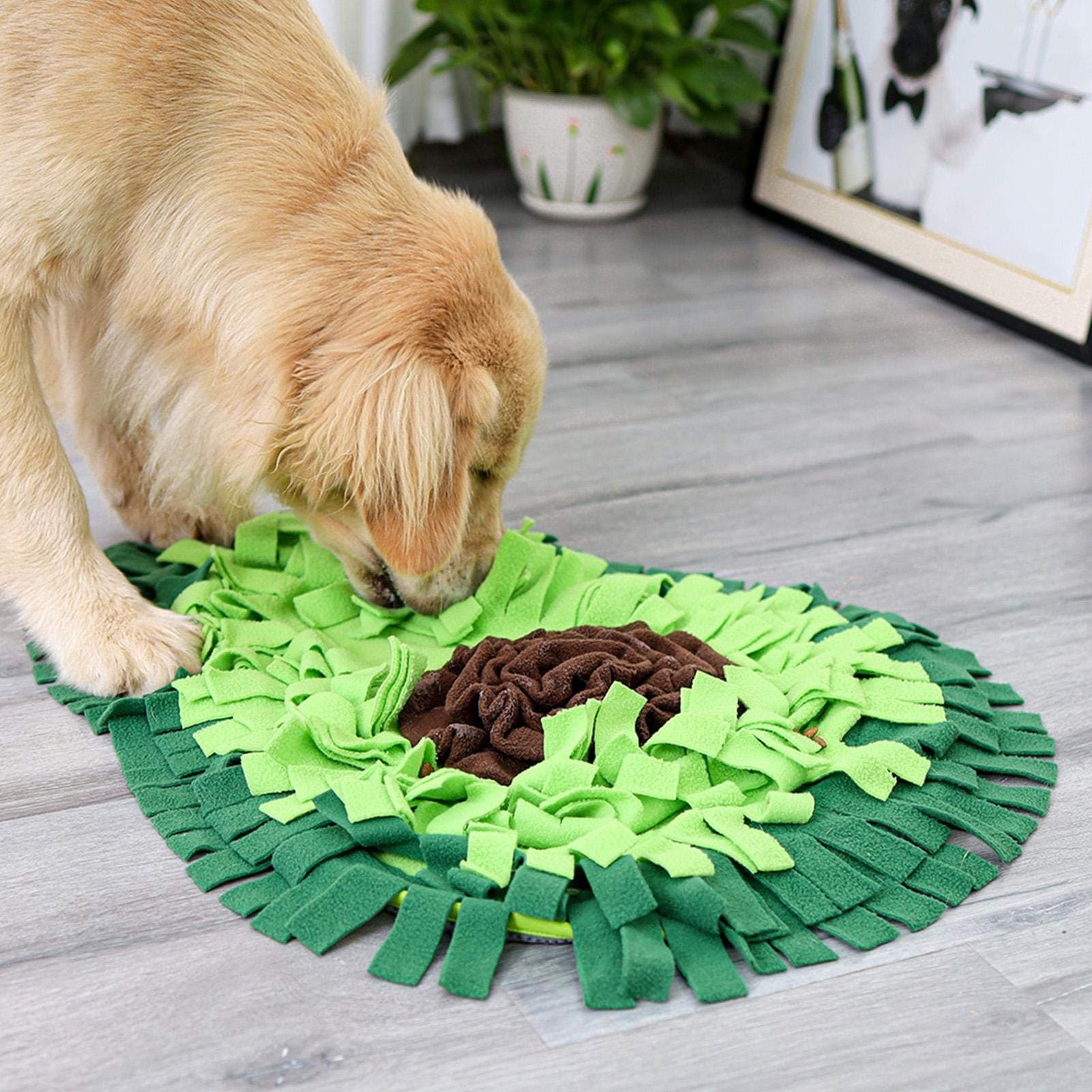 Tapete Olfativo para Perros - Juego Interactivo
