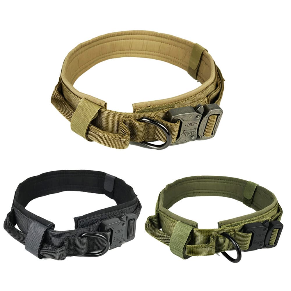 Collar para perro ajustable