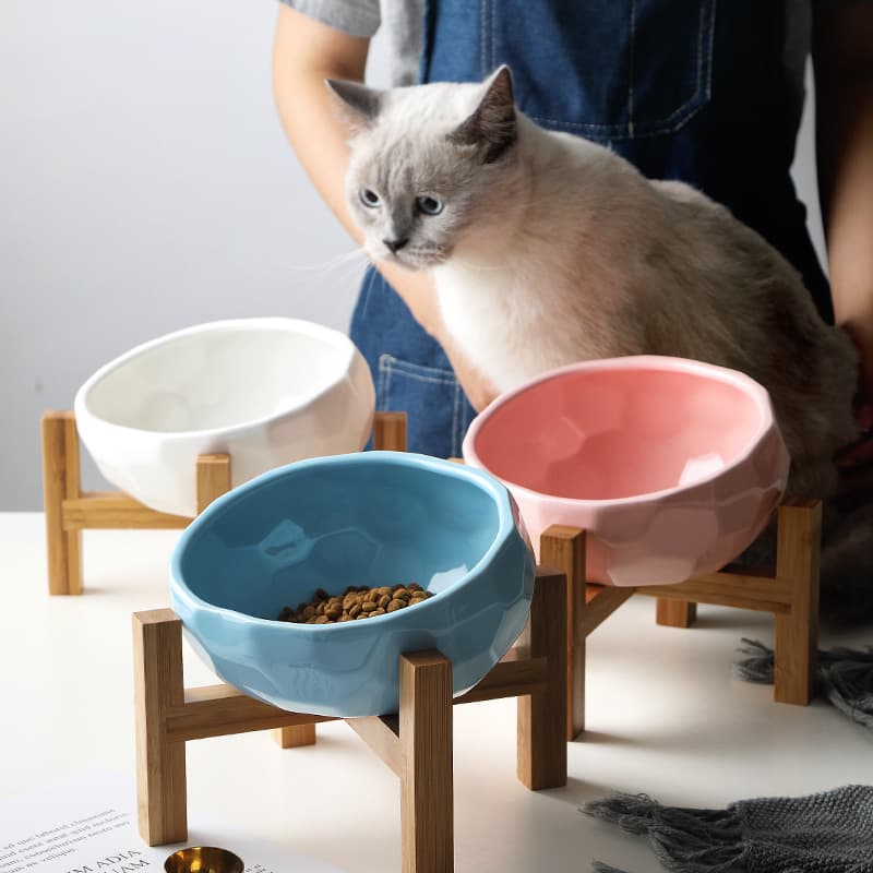 Comedero Inclinado para Gatos y Perros