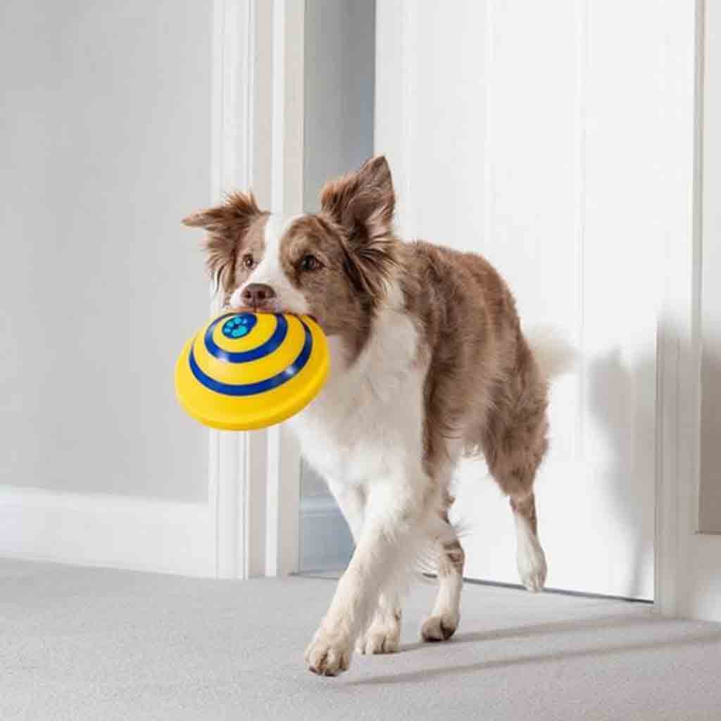 Disco Volador Sonoro para Perros Woof Glider