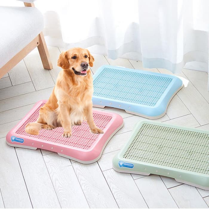 Bandeja Higiénica para Perros de Interior