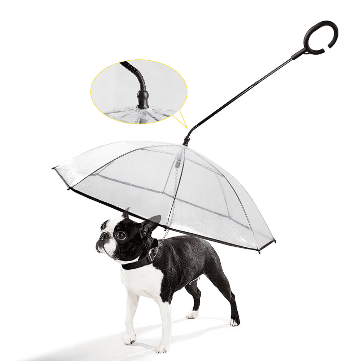 Paraguas Ajustable Transparente para Mascotas