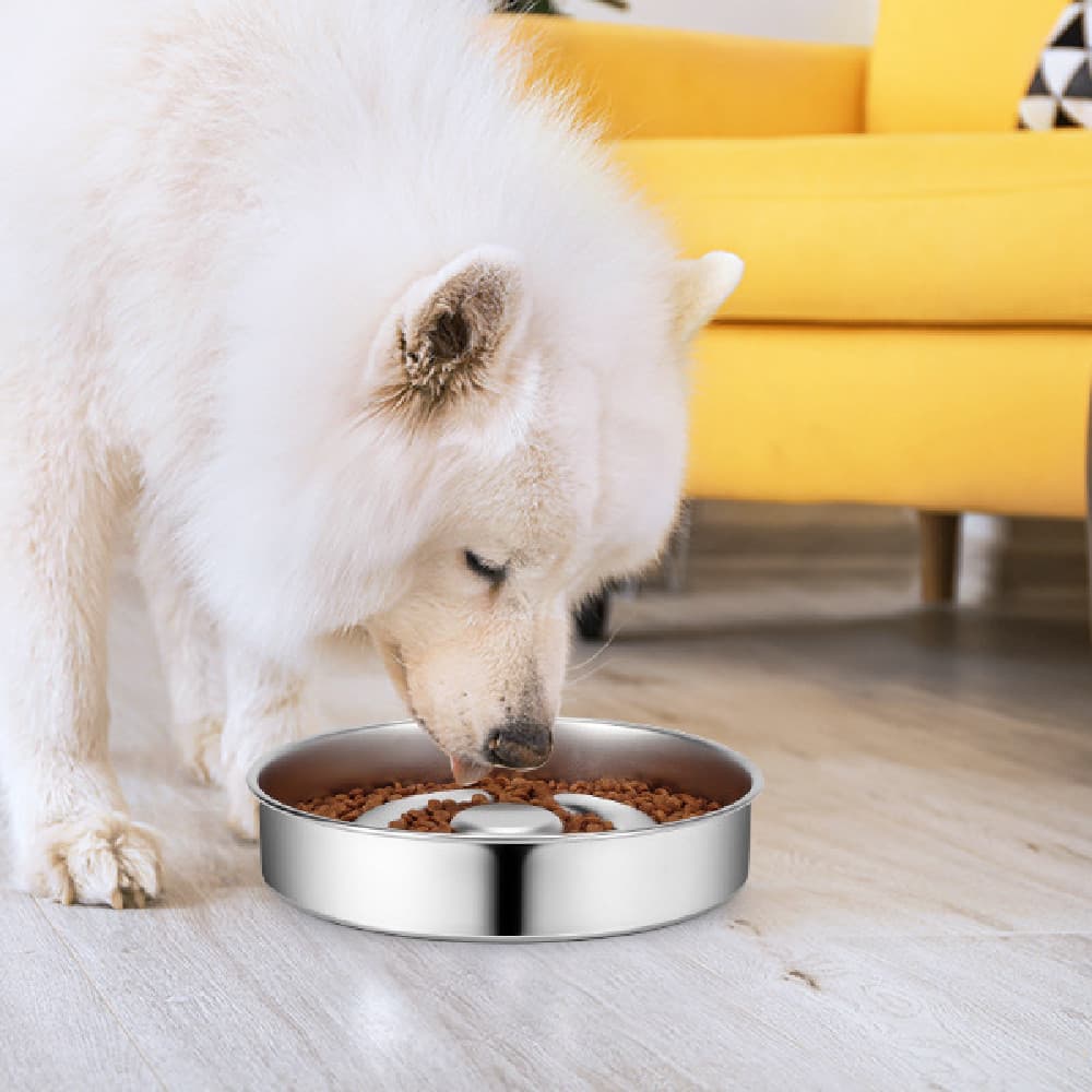 Comedero Lento para Mascotas en Acero Inoxidable