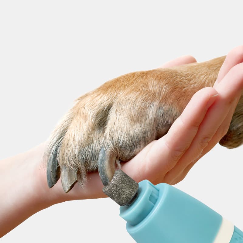 Pulidor de Uñas y Cortapelo 2 en 1 para Mascotas