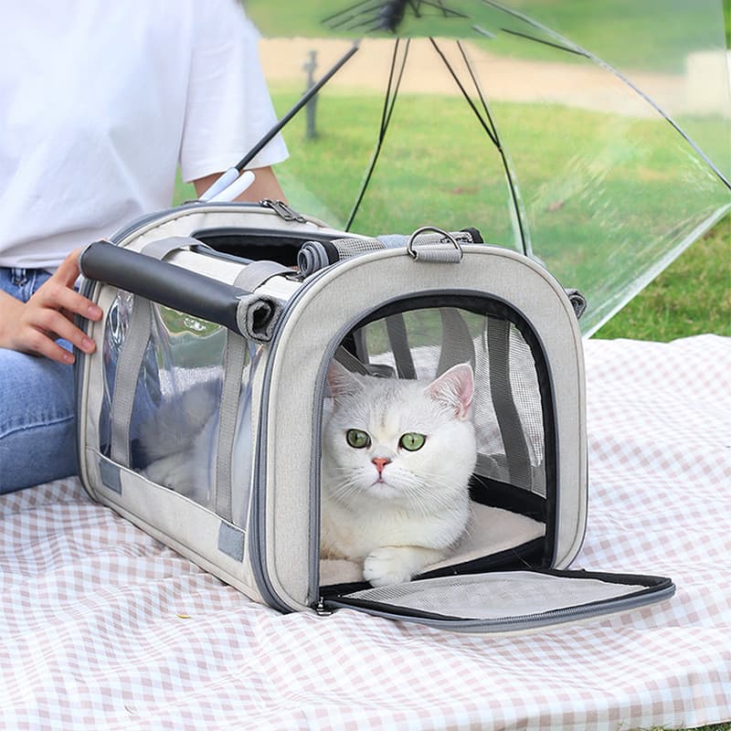 Mochila Transportín Mascotas Plegable Transparente Respirable
