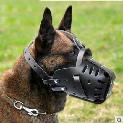 Bozal de Cuero para Perro Mediano y Grande