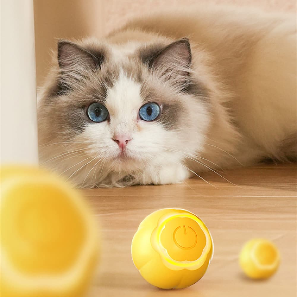 Pelota Rodante Interactiva para Gatos Pet Smart