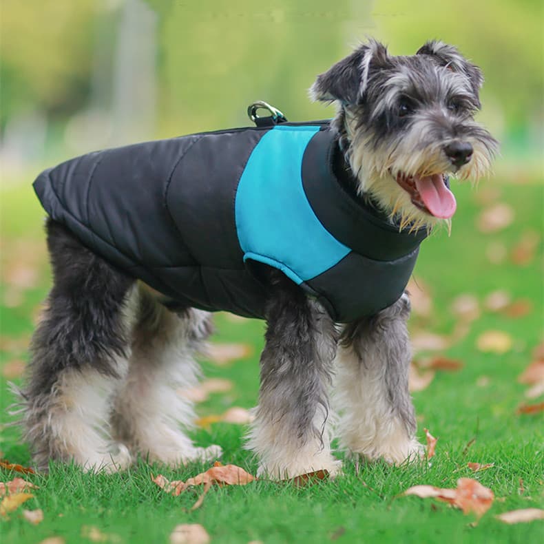 Abrigo Térmico para Perros - Sudadera Acolchada