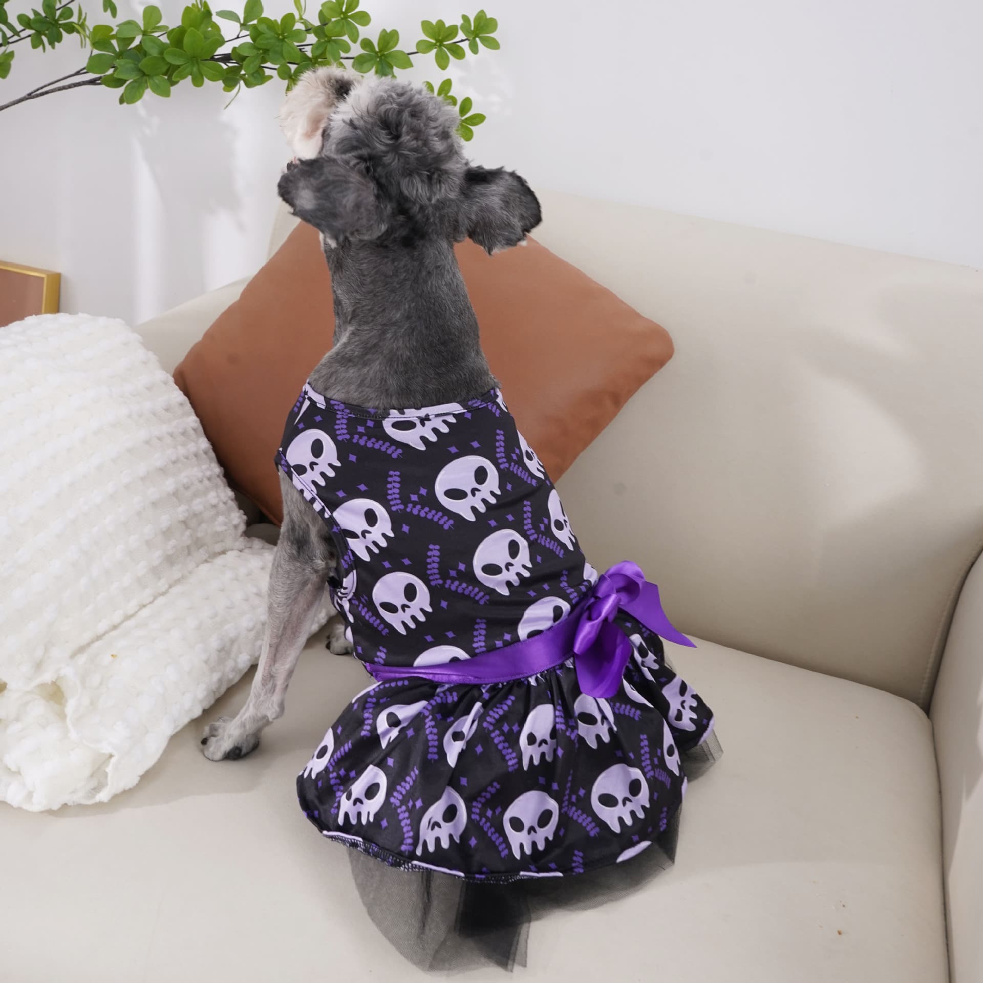 Ropa de Perro para Halloween