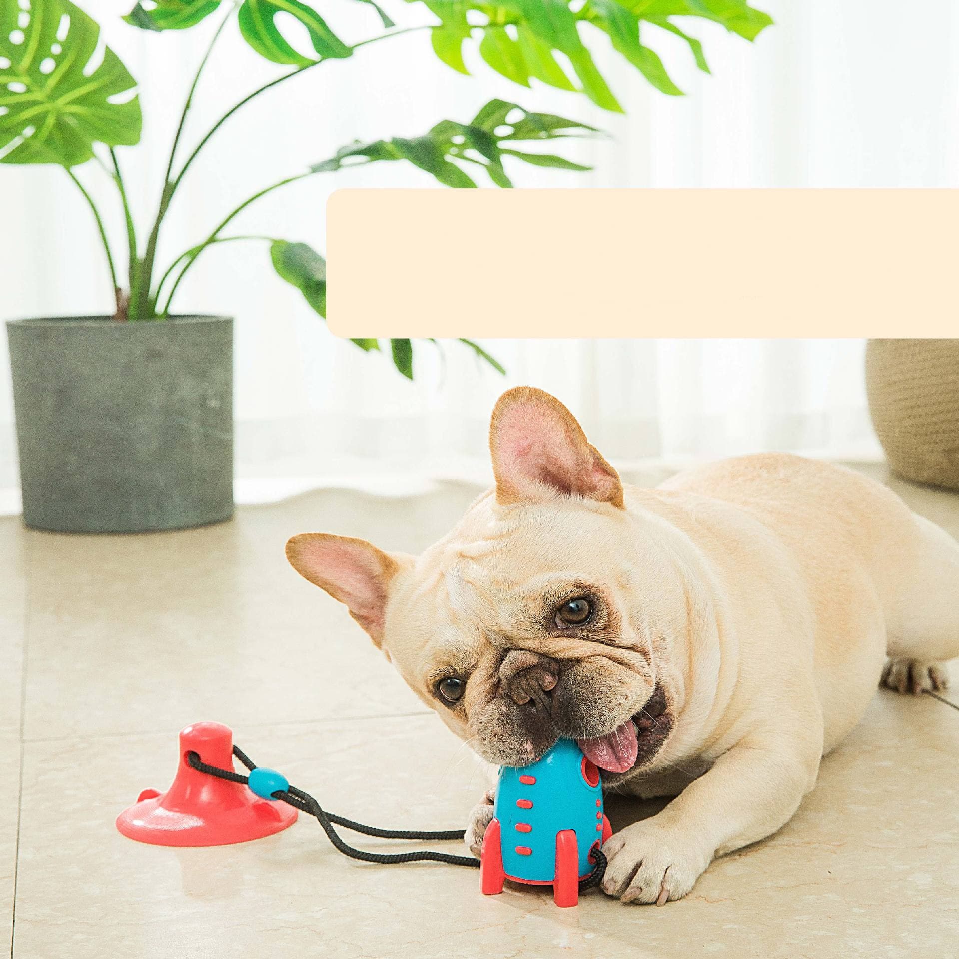 Juguete para Perro Mordedor Resistente con Dispensador de Comida