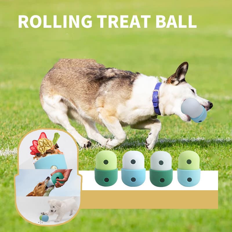 Pelota Juguete Interactivo 2 en 1 para Perros