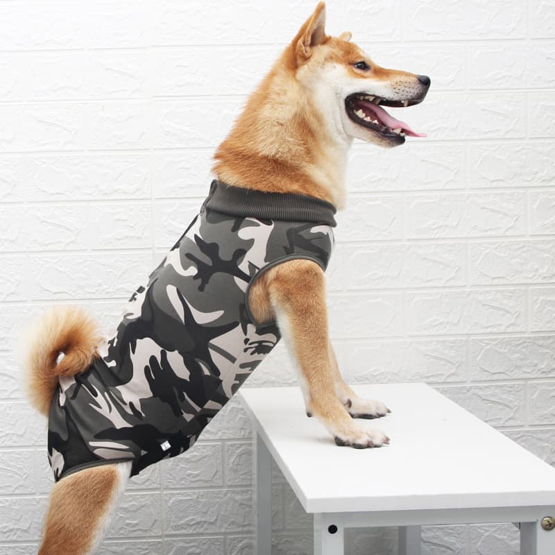 Ropa Multicolor para Mascotas