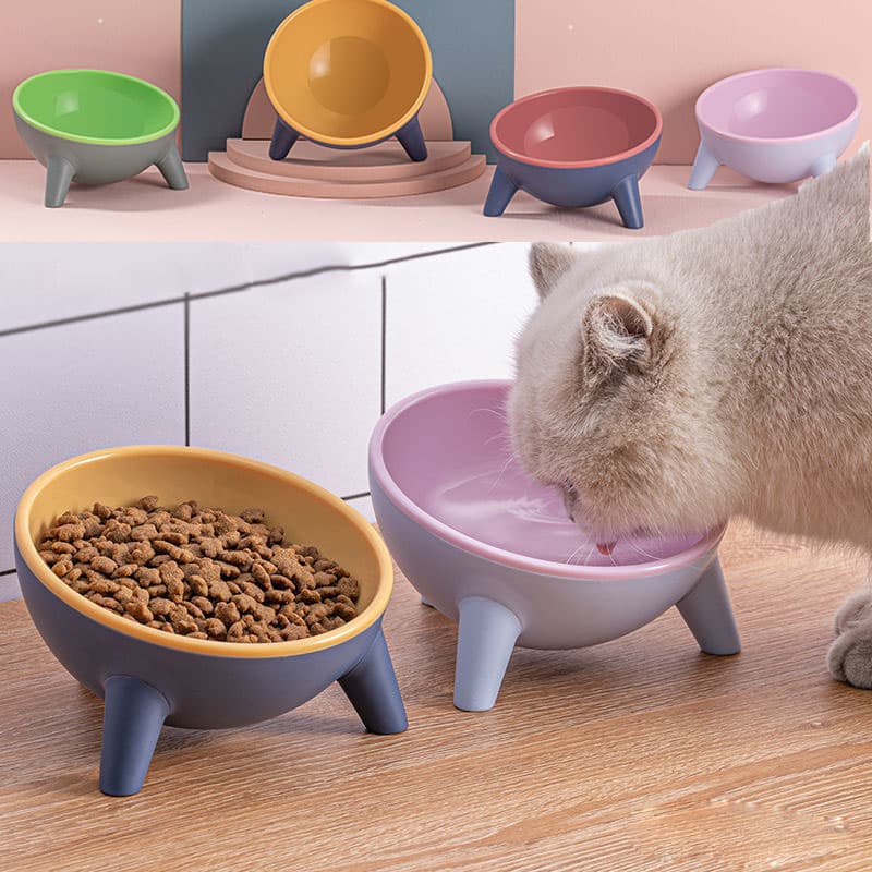 Comedero Elevado para Perros y Gatos con Soporte