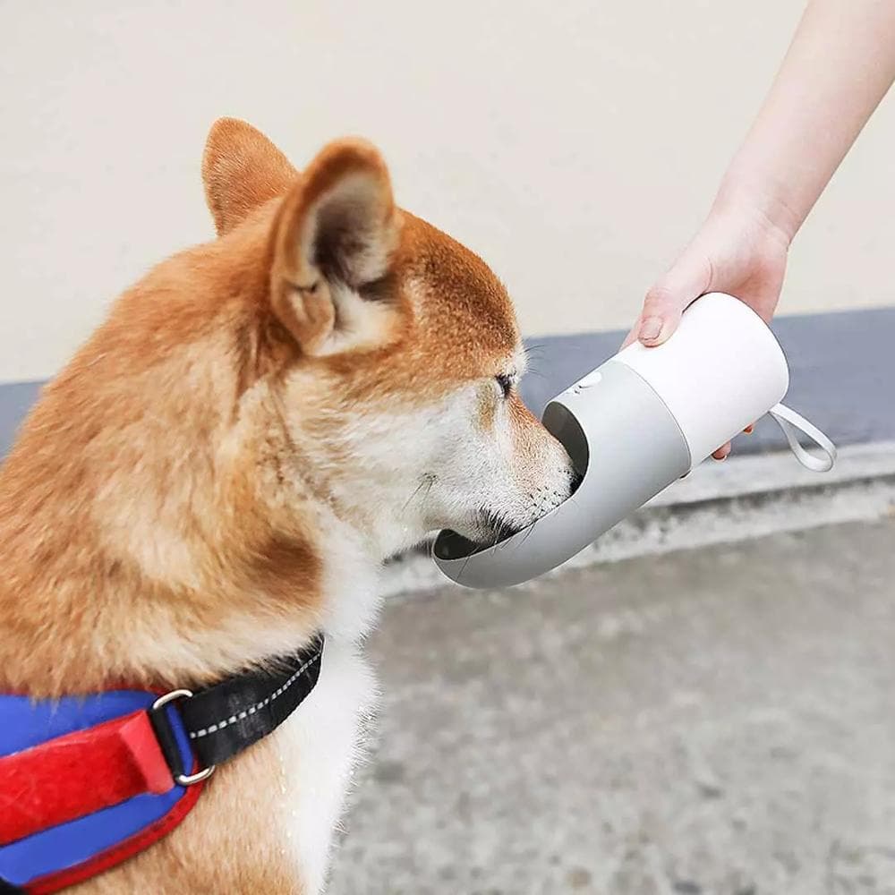 Botella de Agua para Mascotas Antigoteo