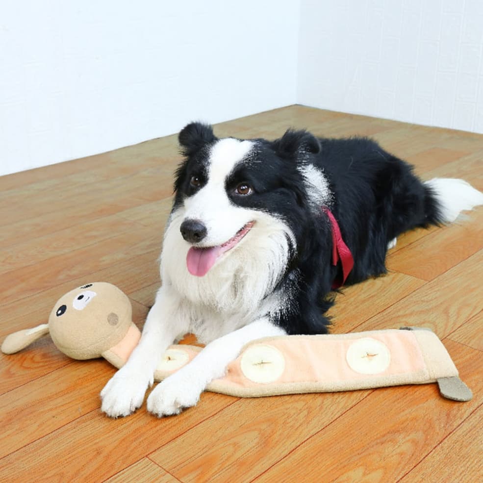 Juguete para Perros Entrenamiento Resistente a Mordiscos