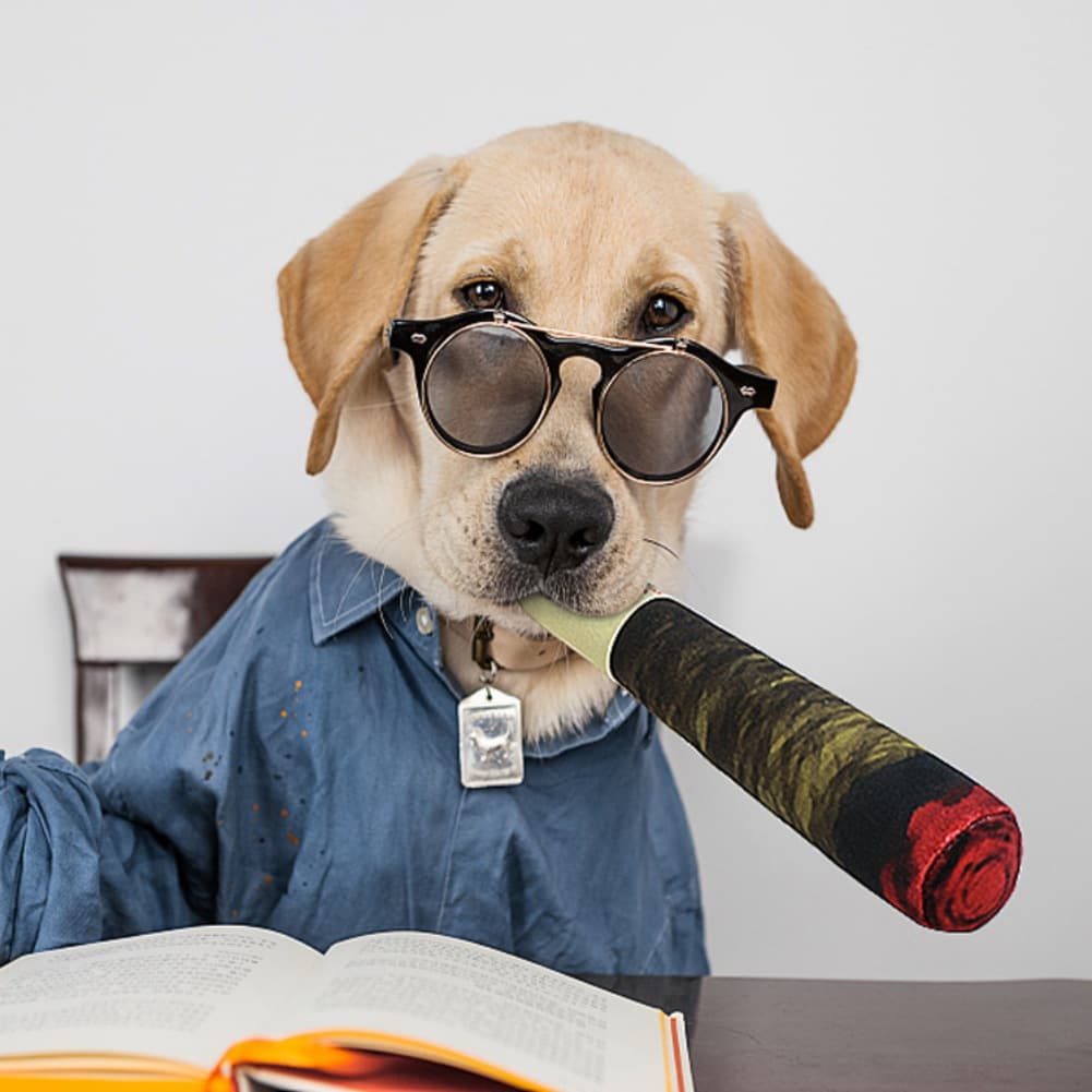 Juguete para Perros Cigarrillos Falsos Broma