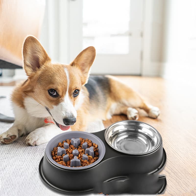 Comedero Lento Removible para Perros y Gatos