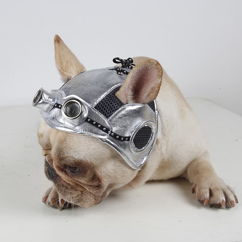 Vestido de Fiesta para Mascotas