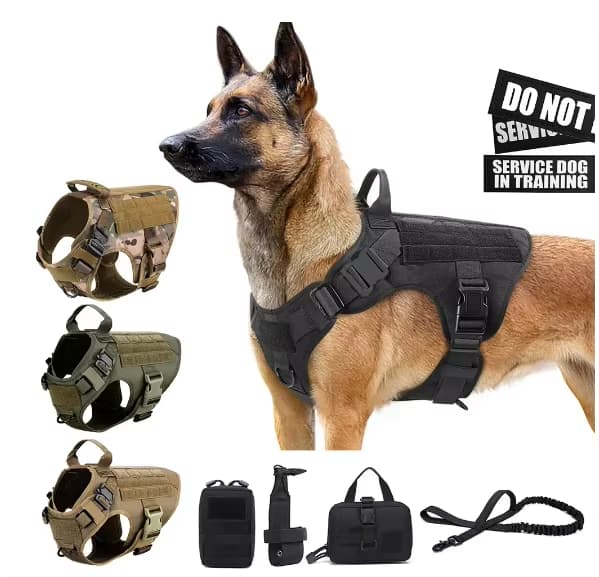 Arnés de Lujo para Perro con Correa - Diseño Camuflaje