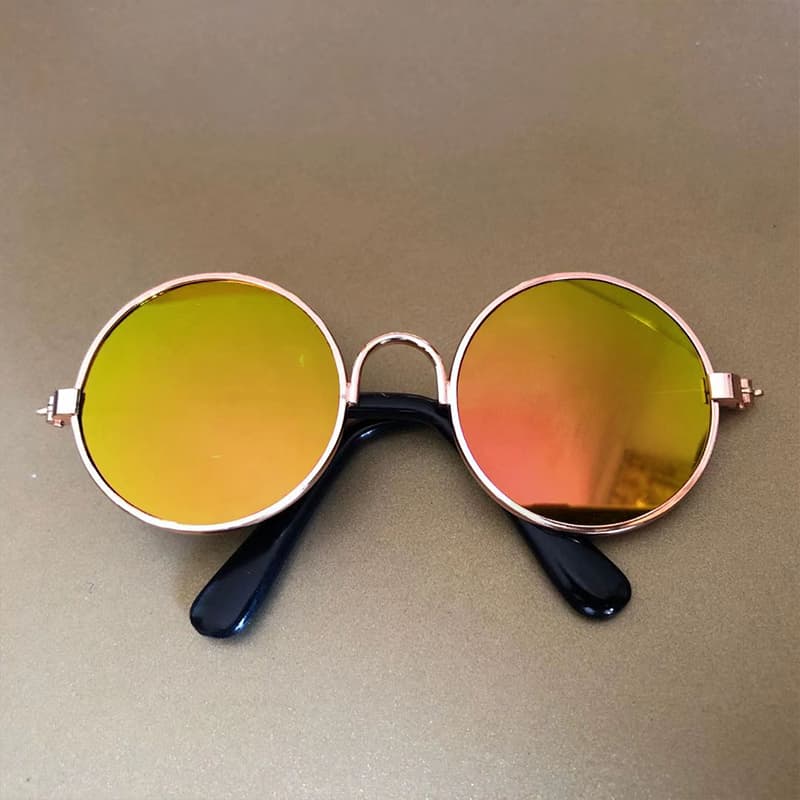 Gafas de Sol para Perro