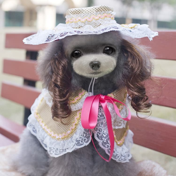 Ropa Navideña para Mascotas Divertida
