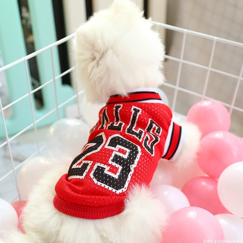 Ropa de Verano para Perro - Chaleco Teddy Transpirable