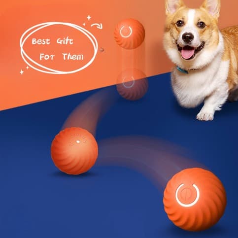 Pelota de Goma Resistente para Perros