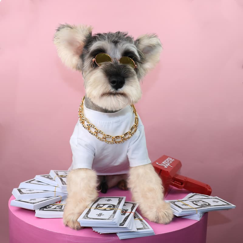Collar de Cadena de Perlas para Mascotas